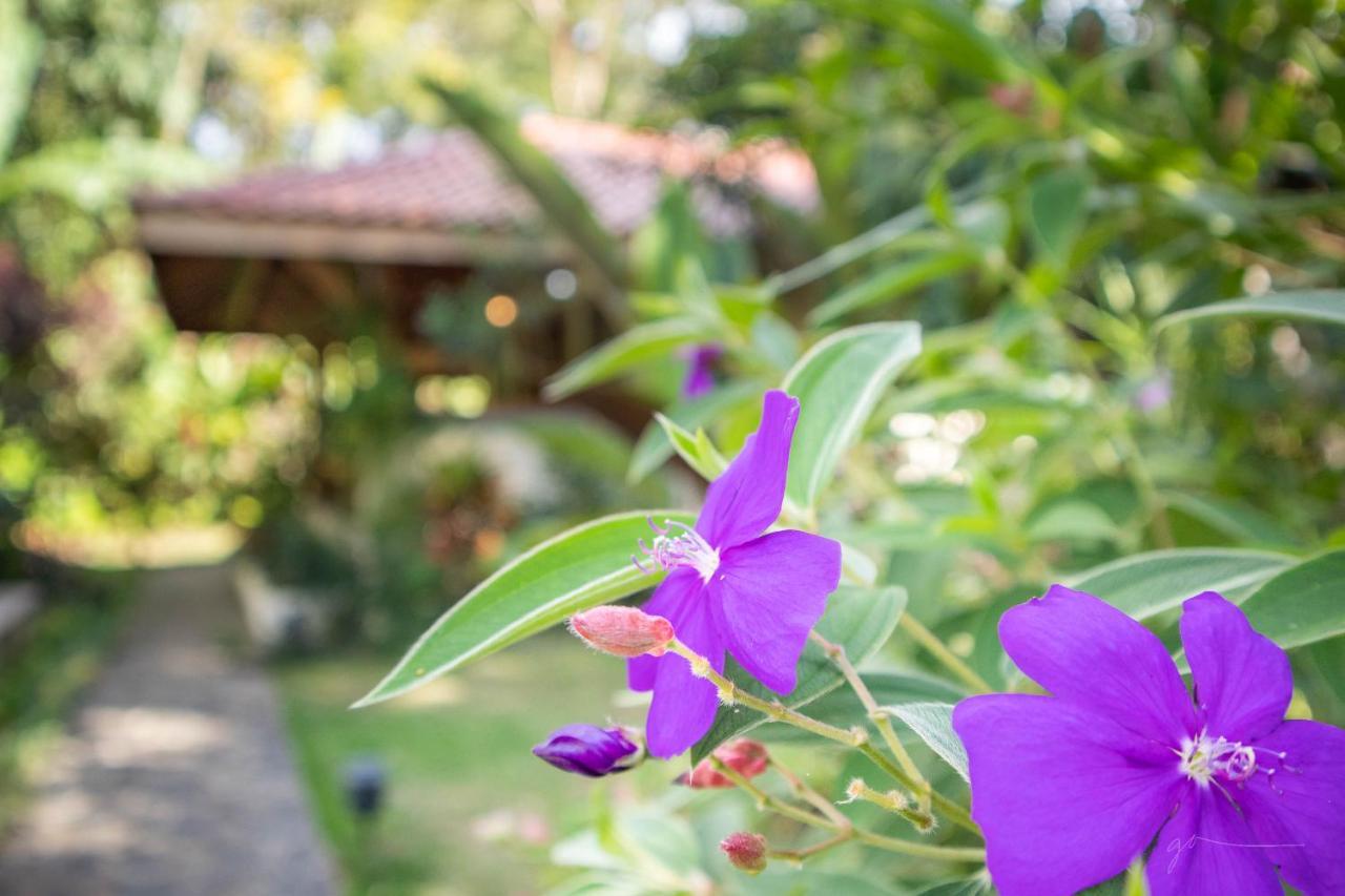 Hotel Casa Merlin Puerto Viejo de Talamanca 외부 사진