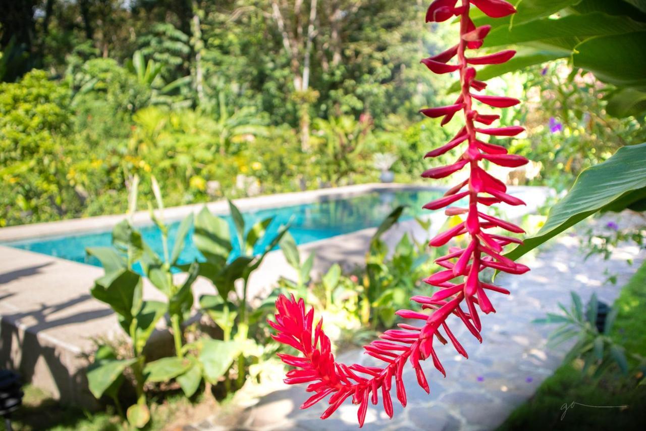 Hotel Casa Merlin Puerto Viejo de Talamanca 외부 사진