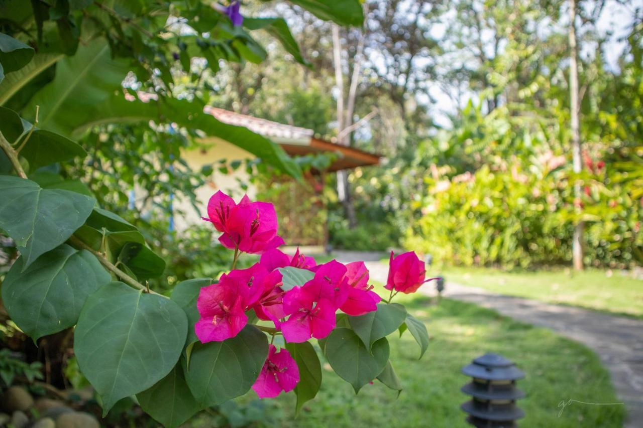 Hotel Casa Merlin Puerto Viejo de Talamanca 외부 사진