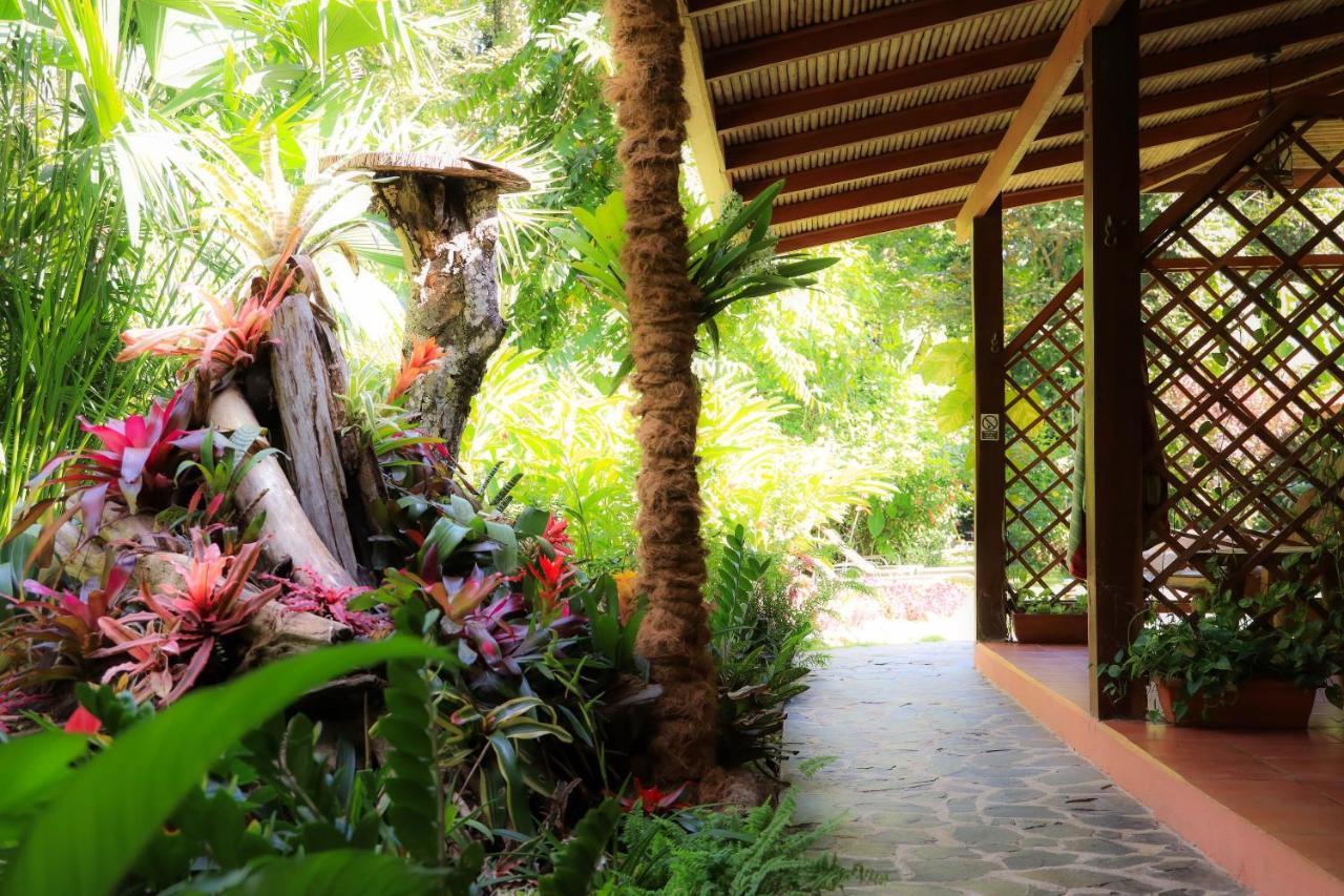 Hotel Casa Merlin Puerto Viejo de Talamanca 외부 사진