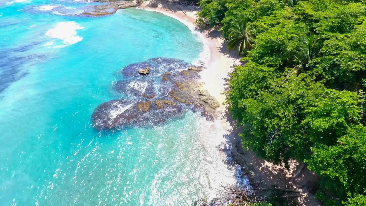 Hotel Casa Merlin Puerto Viejo de Talamanca 외부 사진